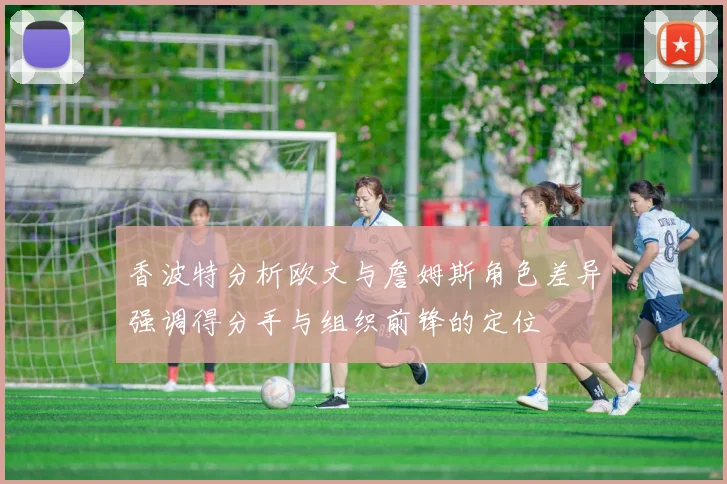香波特分析欧文与詹姆斯角色差异强调得分手与组织前锋的定位